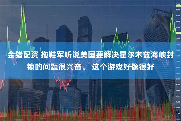 金猪配资 拖鞋军听说美国要解决霍尔木兹海峡封锁的问题很兴奋。 这个游戏好像很好