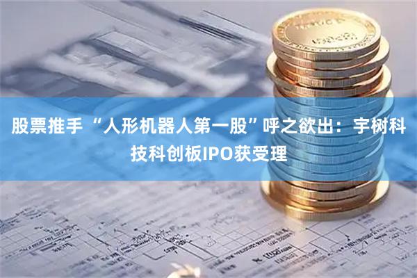 股票推手 “人形机器人第一股”呼之欲出：宇树科技科创板IPO获受理