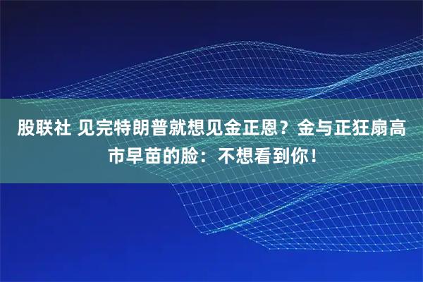 股联社 见完特朗普就想见金正恩？金与正狂扇高市早苗的脸：不想看到你！