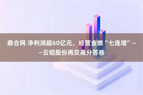 鼎合网 净利润超60亿元，经营业绩“七连增”——云铝股份再交高分答卷