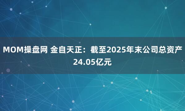 MOM操盘网 金自天正：截至2025年末公司总资产24.05亿元