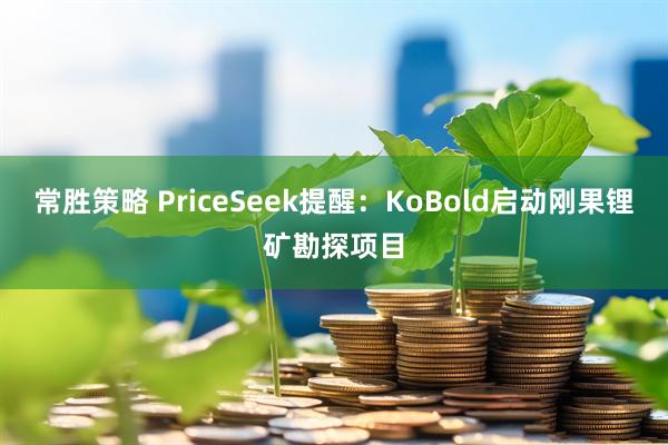 常胜策略 PriceSeek提醒：KoBold启动刚果锂矿勘探项目