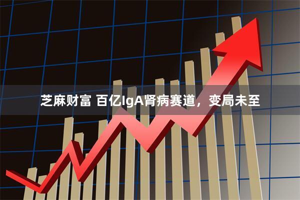 芝麻财富 百亿IgA肾病赛道，变局未至