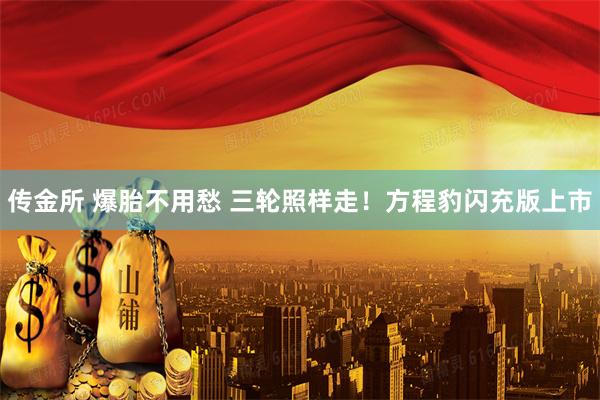 传金所 爆胎不用愁 三轮照样走！方程豹闪充版上市