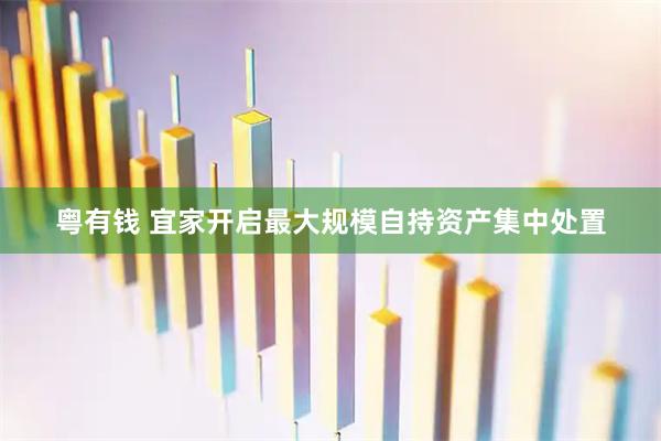 粤有钱 宜家开启最大规模自持资产集中处置
