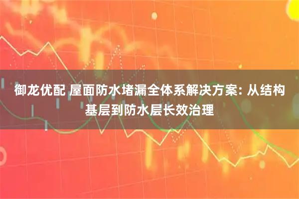 御龙优配 屋面防水堵漏全体系解决方案: 从结构基层到防水层长效治理