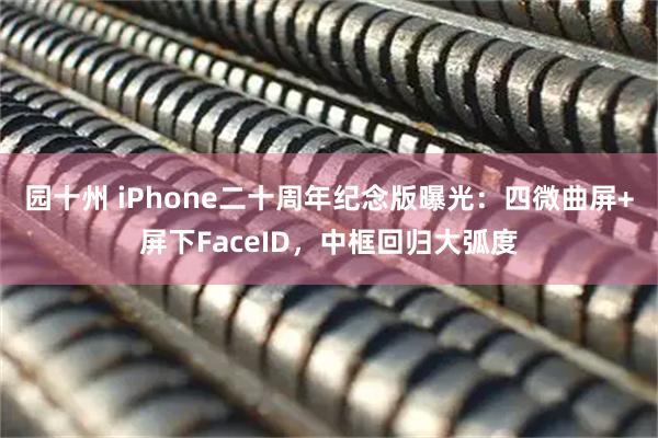 园十州 iPhone二十周年纪念版曝光：四微曲屏+屏下FaceID，中框回归大弧度