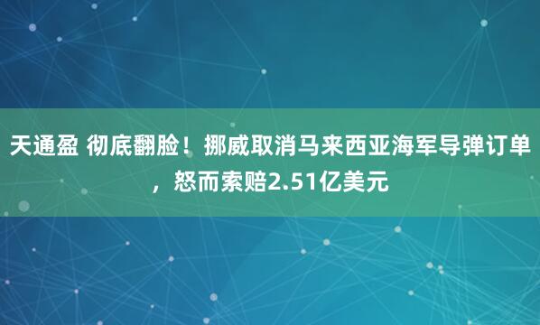 天通盈 彻底翻脸！挪威取消马来西亚海军导弹订单，怒而索赔2.51亿美元