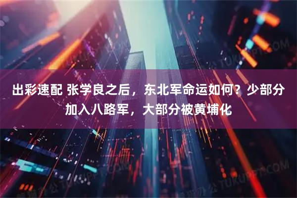 出彩速配 张学良之后，东北军命运如何？少部分加入八路军，大部分被黄埔化
