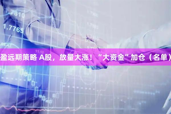 盈远期策略 A股,放量大涨!“大资金”加仓(名单)