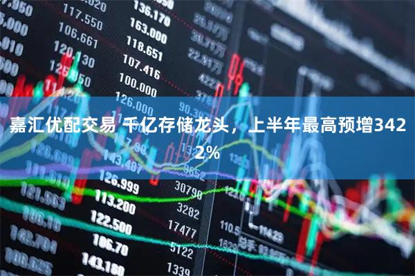 嘉汇优配交易 千亿存储龙头，上半年最高预增3422%